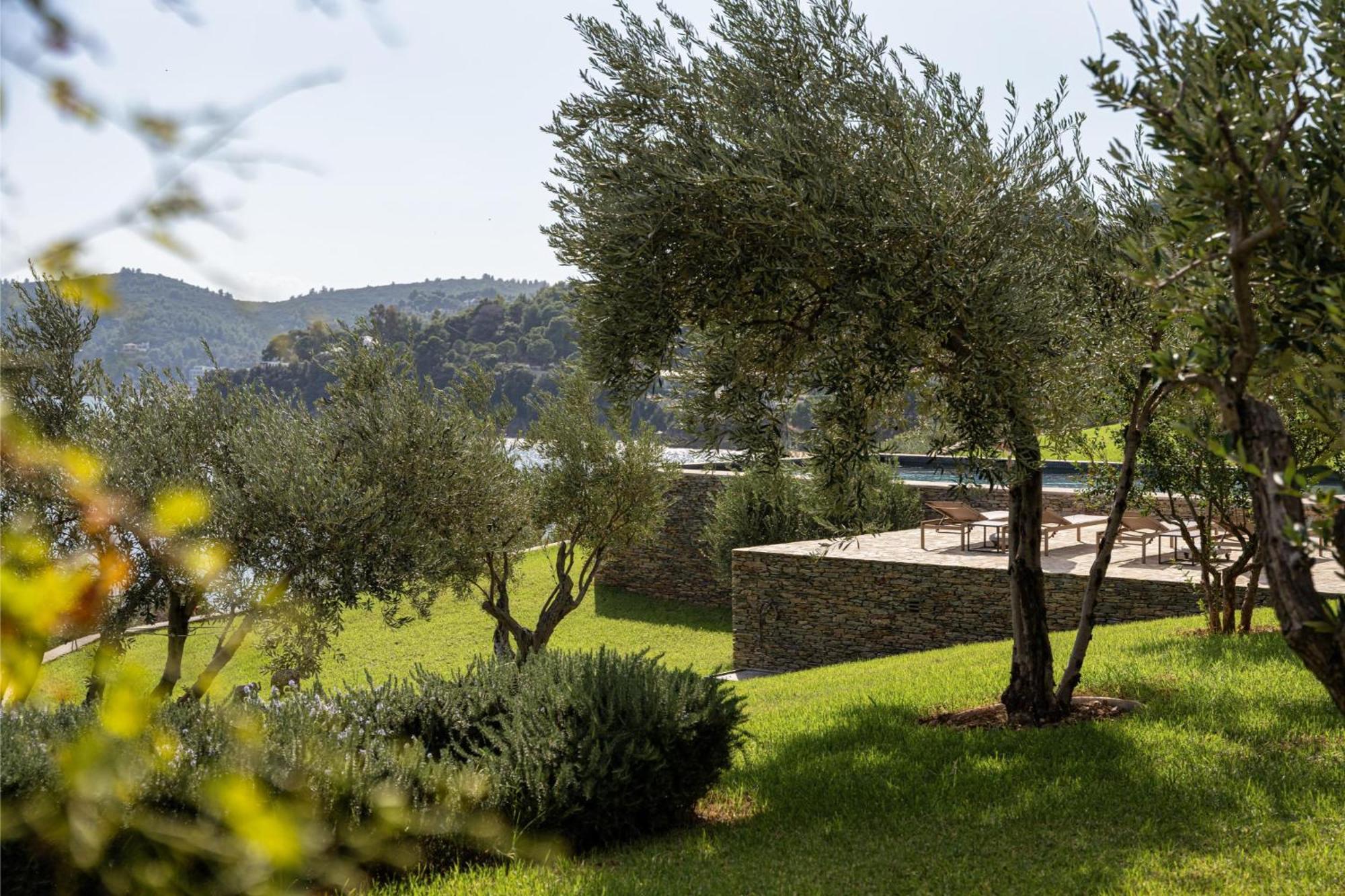 Pelagoon Skiathos Achladies  Rom bilde